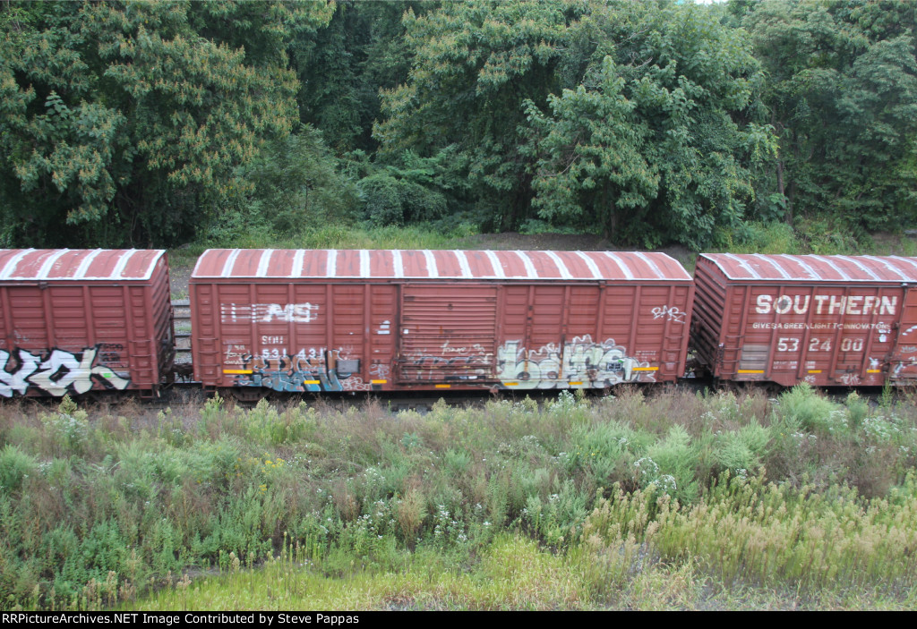 NS 531431